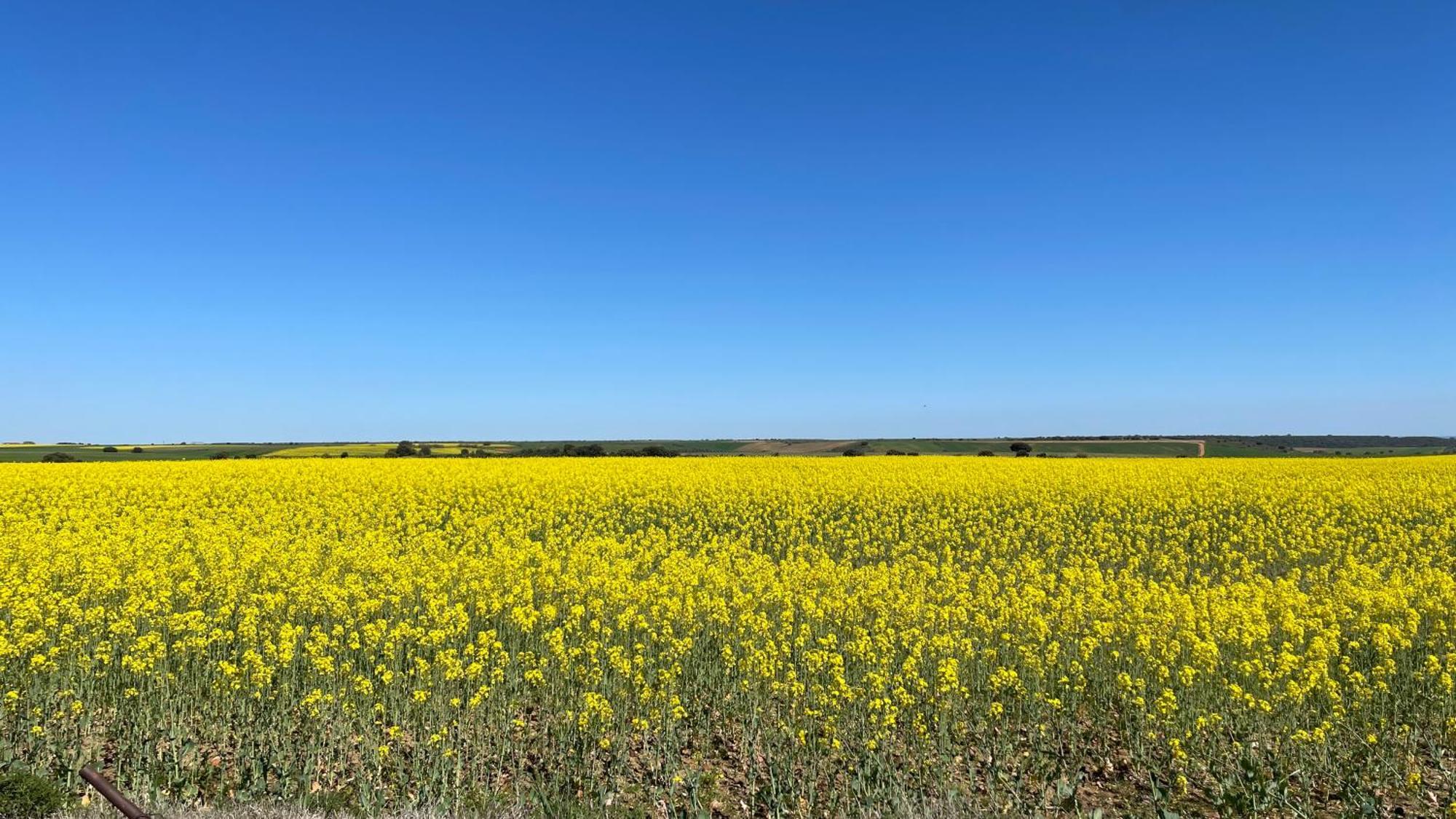 Los Cipreses De Mesones Mesones  Экстерьер фото